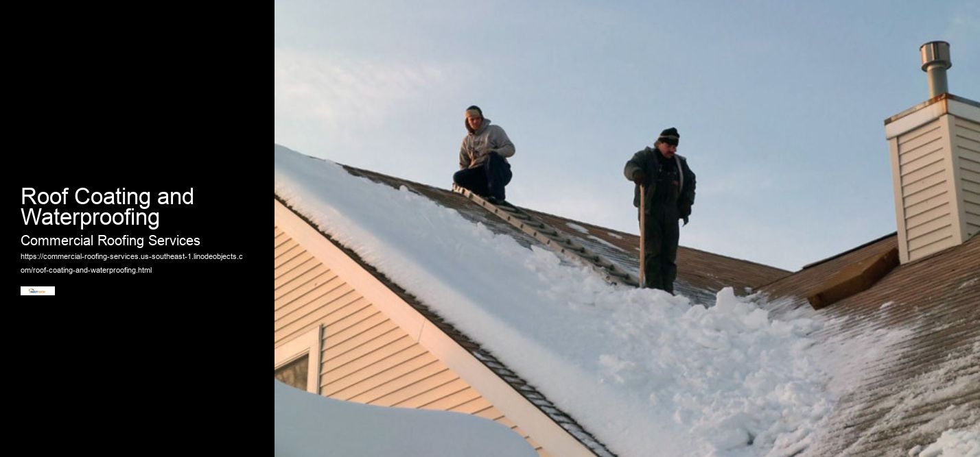 Roof Coating and Waterproofing